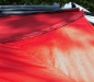 Preview: Sonnensegel „Zip Protect Canvas Single“, Oriental barbados cherry