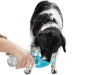 Preview: Trinkflasche für Hunde
