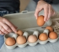 Preview: Eierbox EGGS TO GO, sand