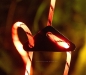 Preview: Leuchttau Afterglow, orange