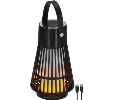 Akku-Outdoor-Lampe FL 100 A