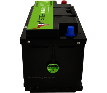Preview: BullTron Lithium Batterie Polar 185 Ah (DIN 95), mit Smart BMS