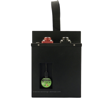 Preview: BullTron Lithium Batterie Polar 210 Ah, mit Smart BMS