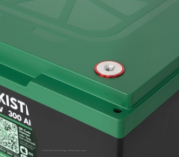 Preview: Saftkiste Lithium Batterie, Batteriepole oben, 300 Ah