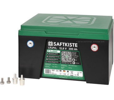 Saftkiste Lithium Batterie, Batteriepole vorne, 300 Ah