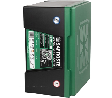 Preview: Saftkiste Lithium Batterie, Batteriepole vorne, 300 Ah