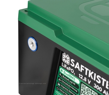Preview: Saftkiste Lithium Batterie, Batteriepole vorne, 300 Ah