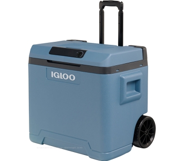 Preview: Igloo IE 42, 12 / 230 Volt