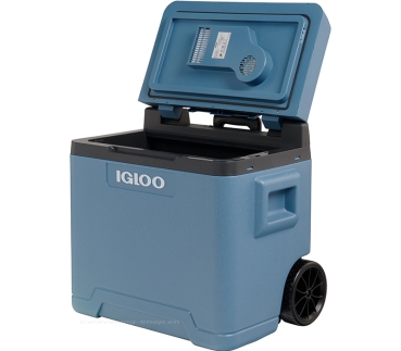 Preview: Igloo IE 42, 12 / 230 Volt