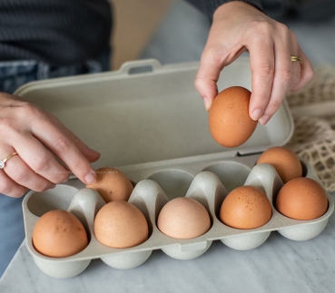 Eierbox EGGS TO GO, sand