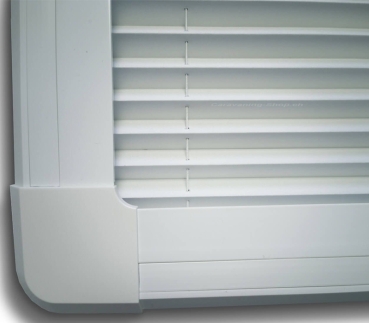 Preview: Carbest RW Style Rollo  500 x 450 mm