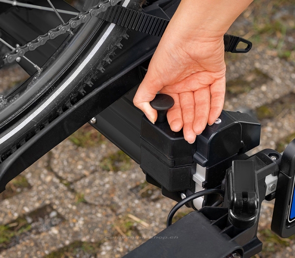 Fahrradträger Anhängerkupplung SD260, silber