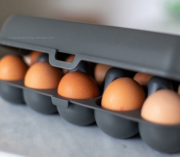 Eierbox EGGS TO GO, grau