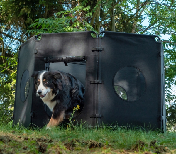 Faltbares Hundefreigehege